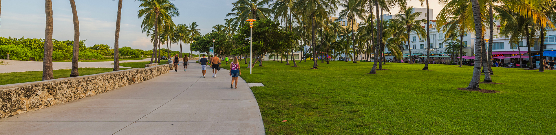 Protects surface water quality as it filters and cleans the water 